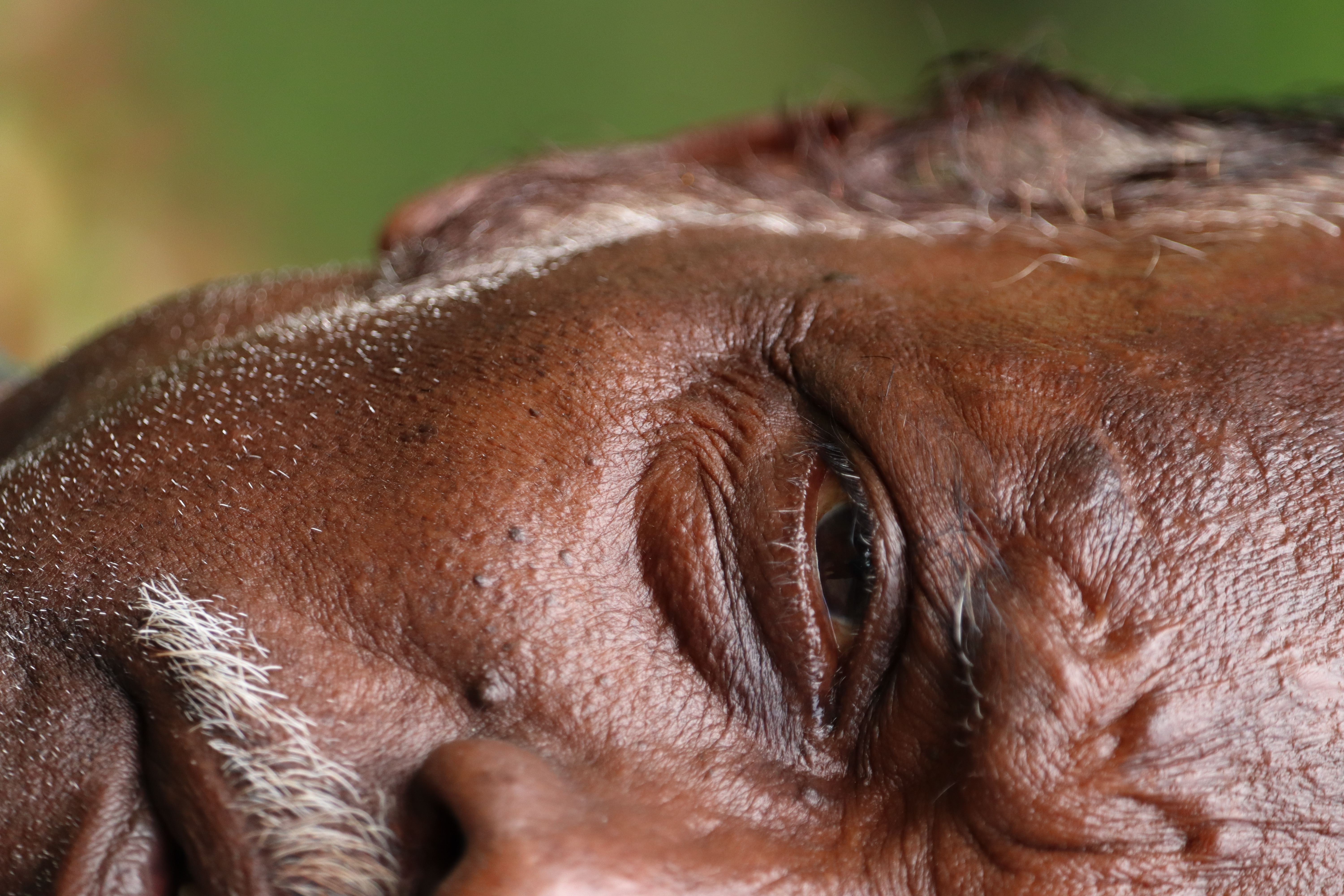 Eyes of Experience by Aditya Goel