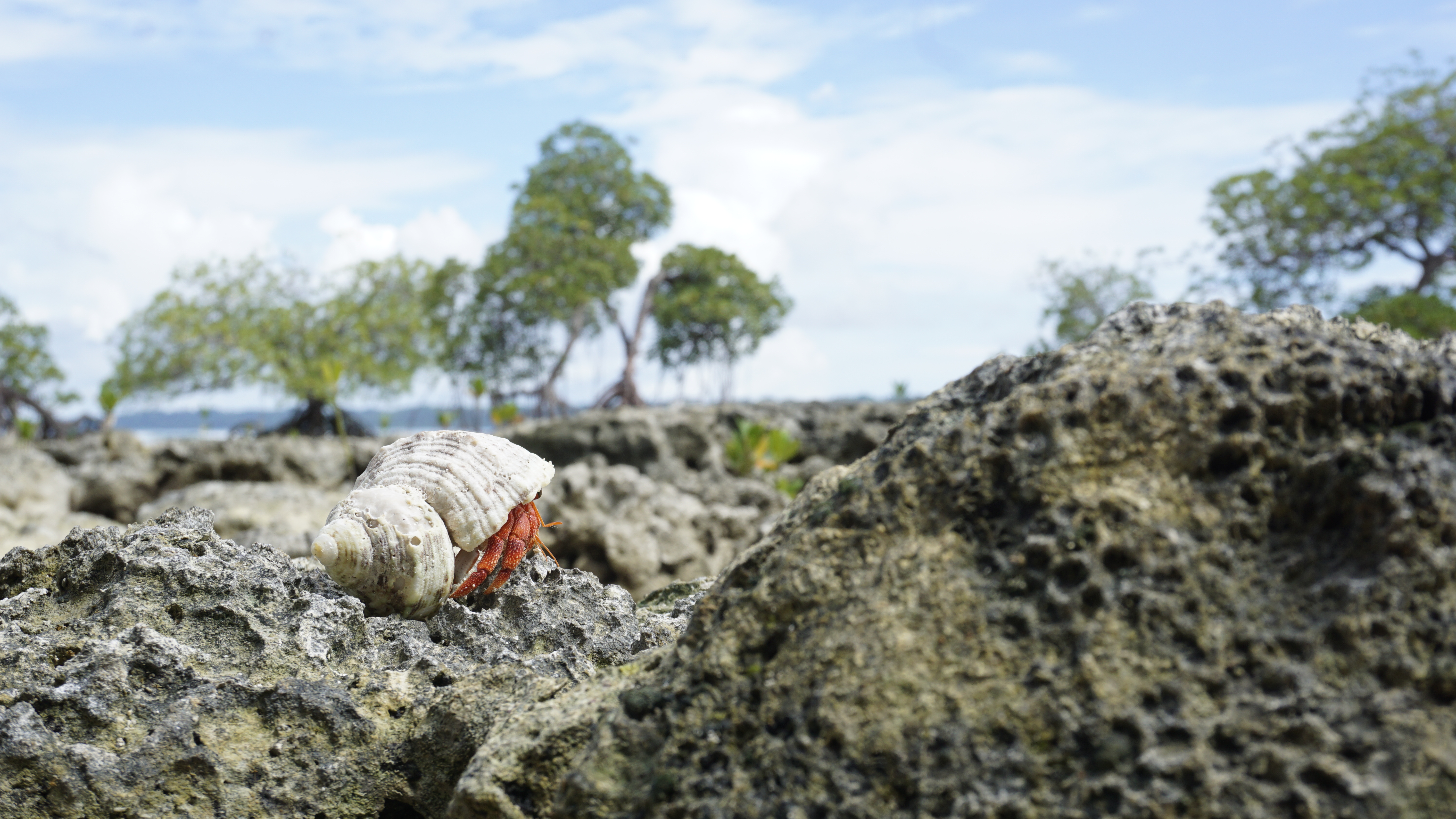 A Hermit's Abode by Arham Gada